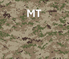 Load image into Gallery viewer, Patriot
